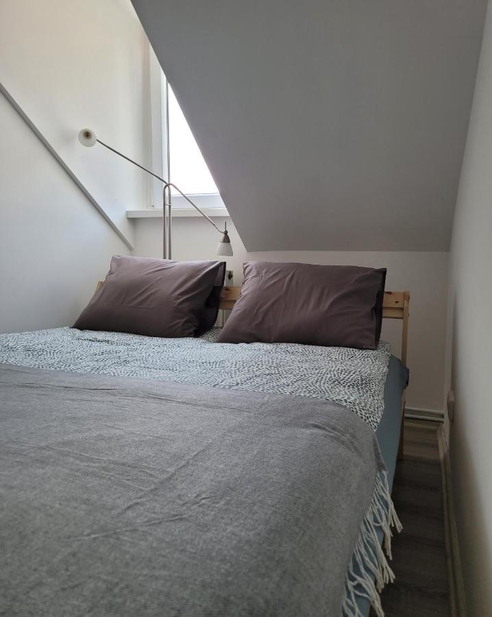 Excellent Apartments Central 3 Min Walk From The Colonnade Karlovy Vary Eksteriør bilde