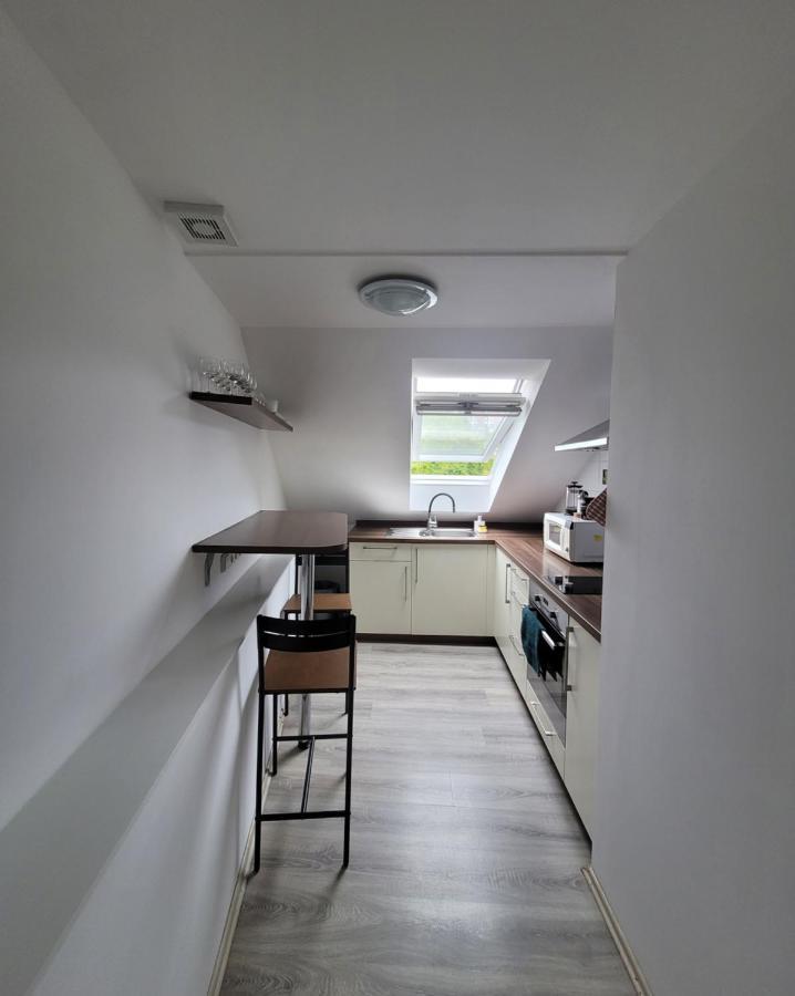 Excellent Apartments Central 3 Min Walk From The Colonnade Karlovy Vary Eksteriør bilde
